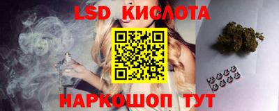 спиды Кингисепп