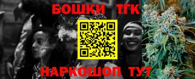 спиды Кингисепп
