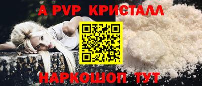 спиды Кингисепп