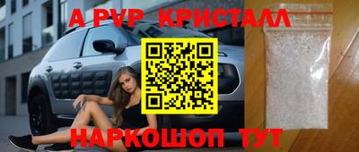 спиды Кингисепп