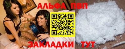 спиды Кингисепп