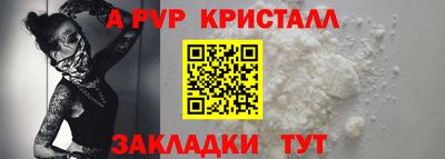 спиды Кингисепп