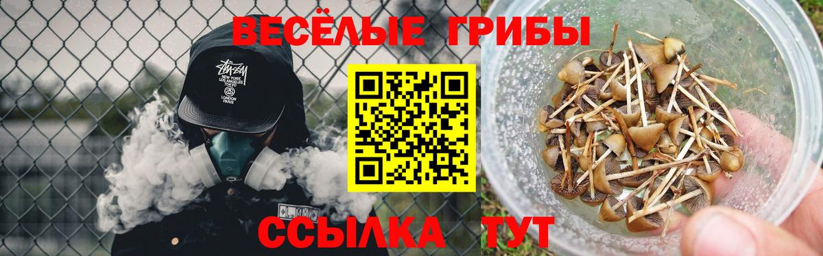 Галлюциногенные грибы мицелий Радужный
